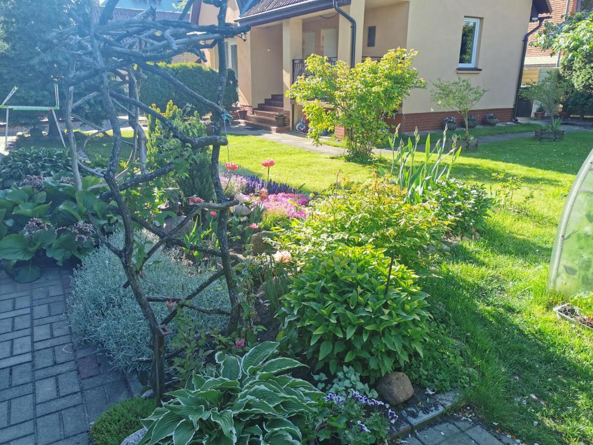 Poilsis Pas Virginija Apartment Palanga Luaran gambar